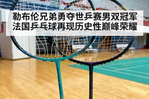 勒布伦兄弟勇夺世乒赛男双冠军法国乒乓球再现历史性巅峰荣耀